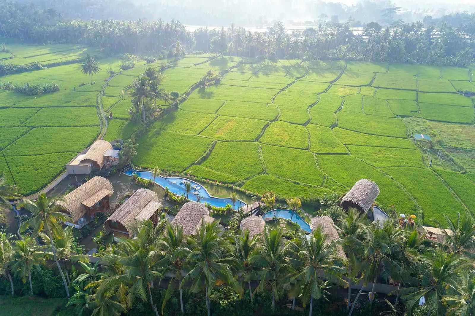Beehouse Dijiwa (Ubud)